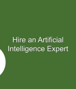 Hire an Artificial Intelligence Expert
