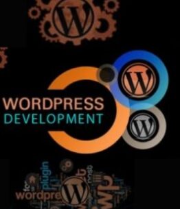 WordPress Theme Development Service